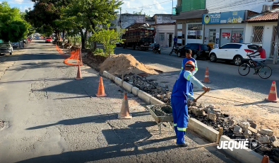 Prefeitura de Jequié inicia obras de modernização urbana da Avenida Santa Luzia, com plantio de novas árvores e projeto paisagístico